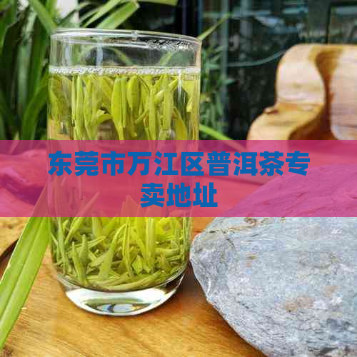 东莞市万江区普洱茶专卖地址