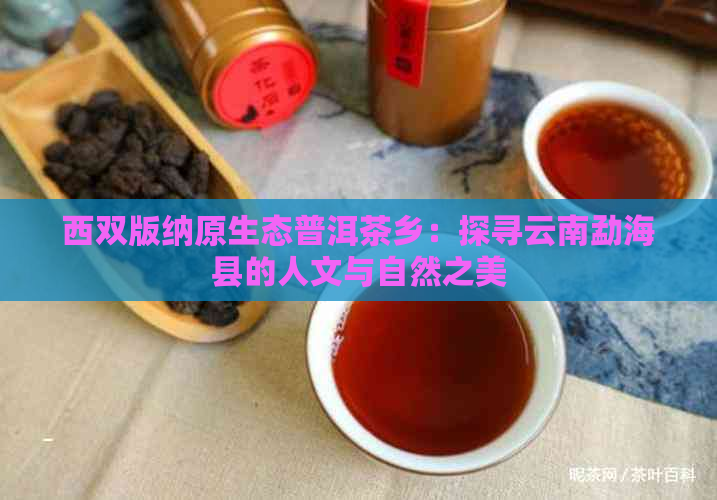 西双版纳原生态普洱茶乡：探寻云南勐海县的人文与自然之美