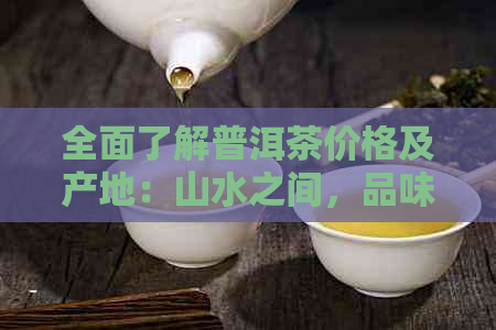 全面了解普洱茶价格及产地：山水之间，品味不同韵味