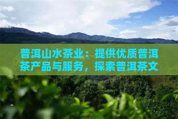 普洱山水茶业：提供优质普洱茶产品与服务，探索普洱茶文化与历