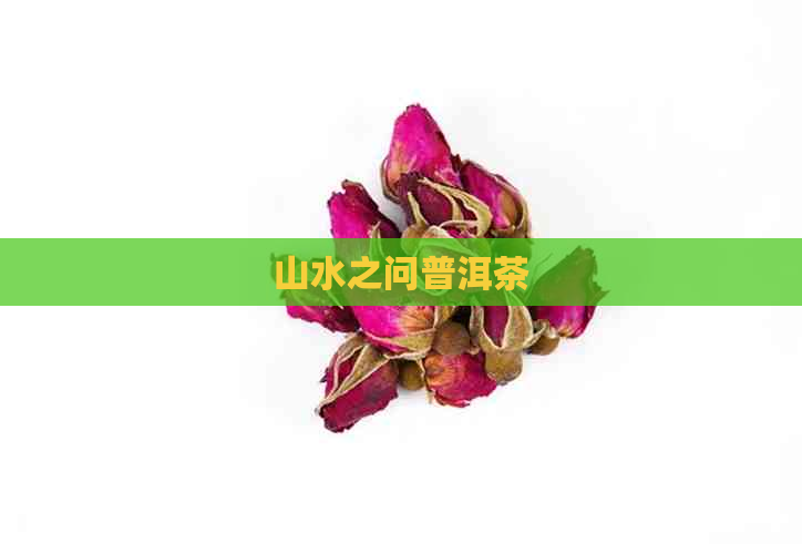 山水之问普洱茶