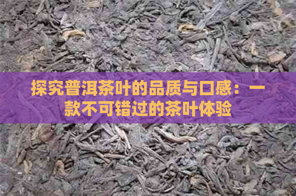 探究普洱茶叶的品质与口感：一款不可错过的茶叶体验