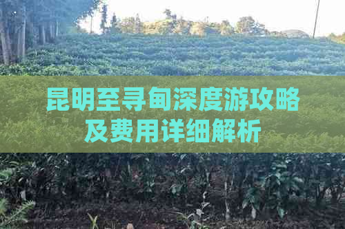 昆明至寻甸深度游攻略及费用详细解析