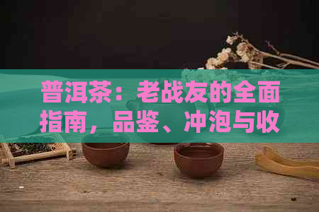 普洱茶：老战友的全面指南，品鉴、冲泡与收藏攻略