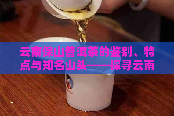 云南保山普洱茶的鉴别、特点与知名山头——探寻云南保山普洱茶厂