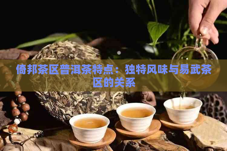 倚邦茶区普洱茶特点：独特风味与易武茶区的关系