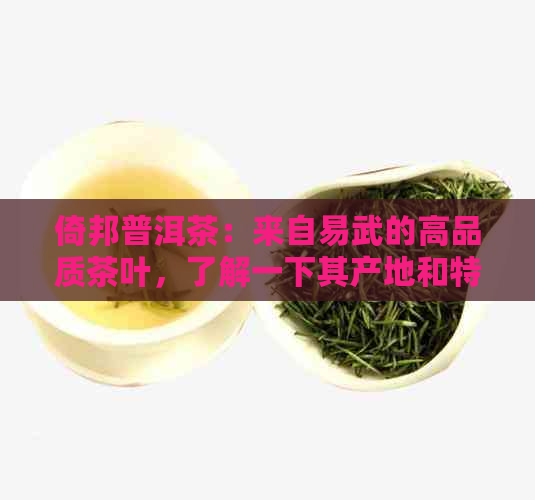 倚邦普洱茶：来自易武的高品质茶叶，了解一下其产地和特点吧！