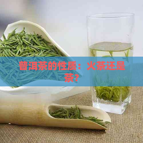 普洱茶的性质：火茶还是茶？