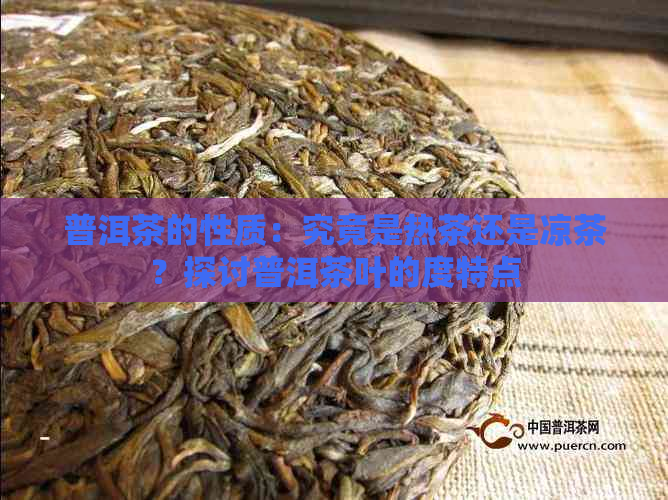 普洱茶的性质：究竟是热茶还是凉茶？探讨普洱茶叶的度特点