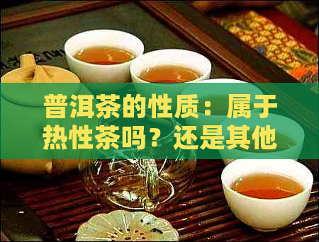 普洱茶的性质：属于热性茶吗？还是其他类型的茶？