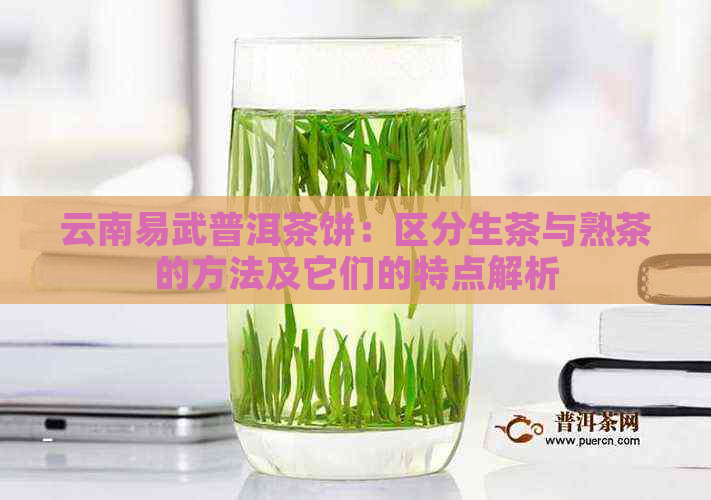 云南易武普洱茶饼：区分生茶与熟茶的方法及它们的特点解析