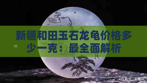 新疆和田玉石龙龟价格多少一克：最全面解析