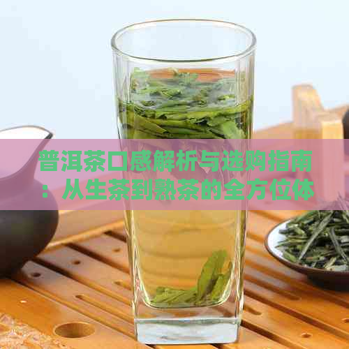 普洱茶口感解析与选购指南：从生茶到熟茶的全方位体验