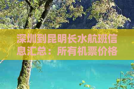 深圳到昆明长水航班信息汇总：所有机票价格、时间、中转方案一目了然