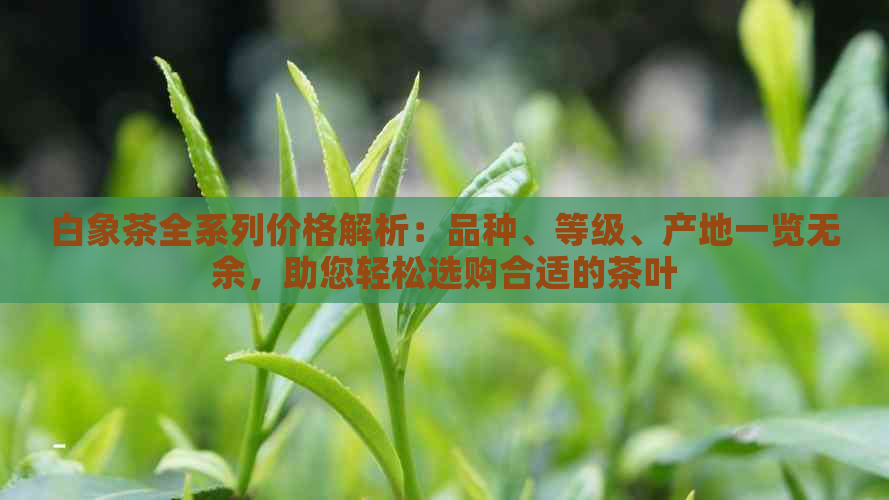 白象茶全系列价格解析：品种、等级、产地一览无余，助您轻松选购合适的茶叶