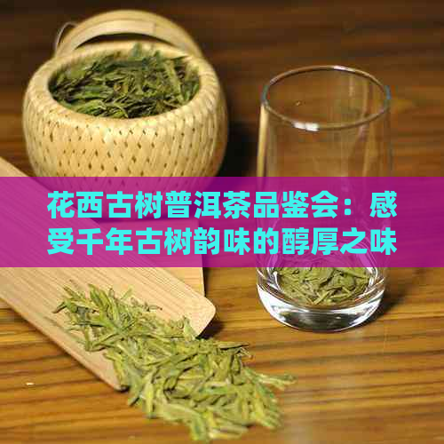 花西古树普洱茶品鉴会：感受千年古树韵味的醇厚之味