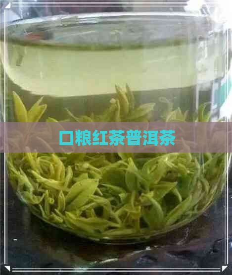 口粮红茶普洱茶