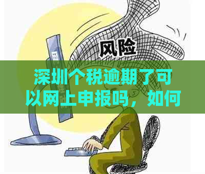 深圳个税逾期了可以网上申报吗，如何操作及处罚标准