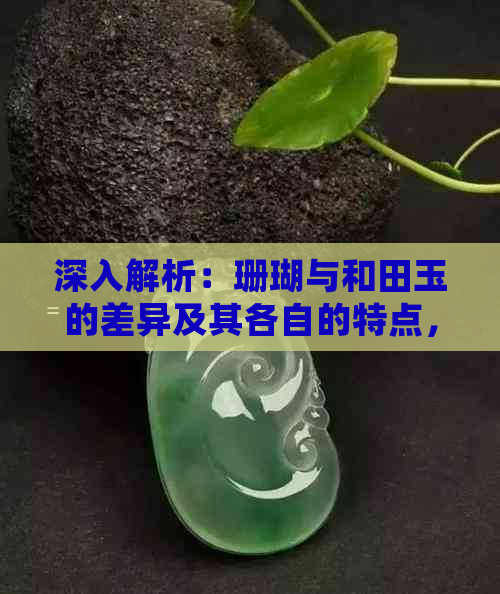 深入解析：珊瑚与和田玉的差异及其各自的特点，助您正确选购宝石饰品