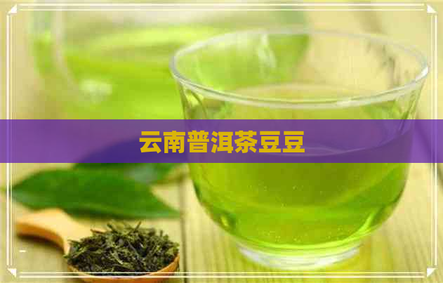 云南普洱茶豆豆