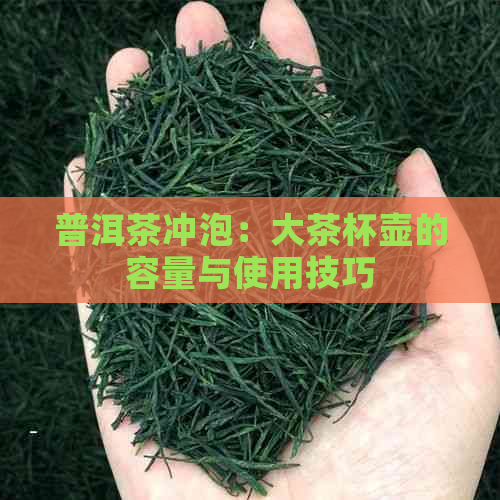 普洱茶冲泡：大茶杯壶的容量与使用技巧