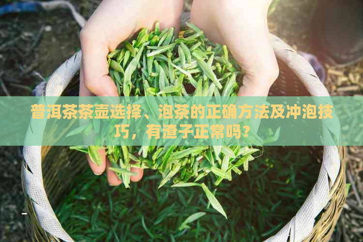 普洱茶茶壶选择、泡茶的正确方法及冲泡技巧，有渣子正常吗？