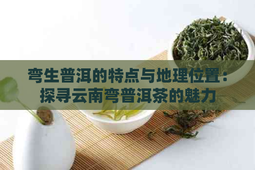 弯生普洱的特点与地理位置：探寻云南弯普洱茶的魅力