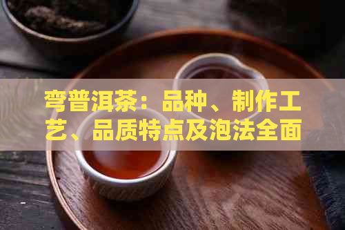 弯普洱茶：品种、制作工艺、品质特点及泡法全面解析，助您选购与品鉴