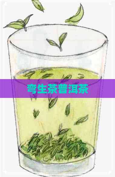 弯生茶普洱茶