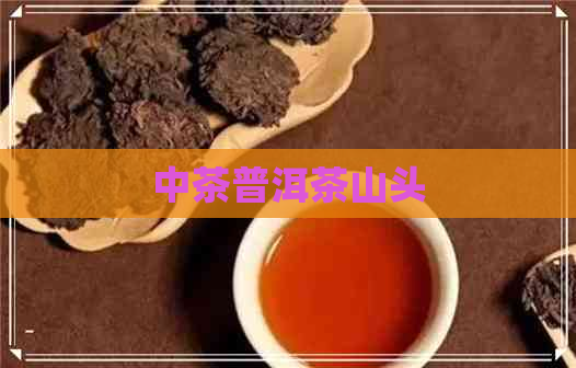 中茶普洱茶山头