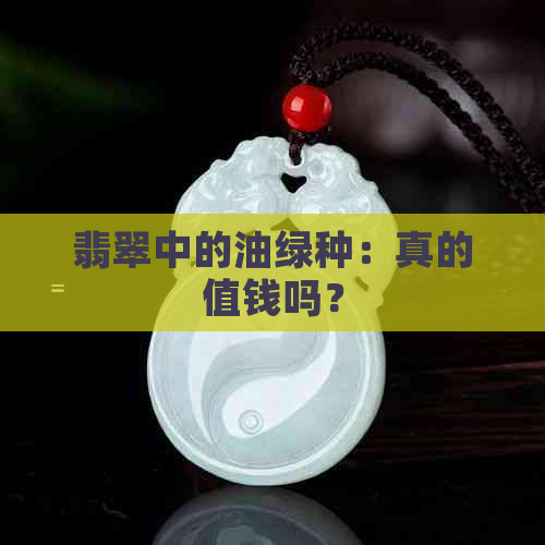 翡翠中的油绿种：真的值钱吗？