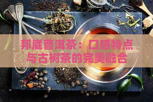 邦崴普洱茶：口感特点与古树茶的完美融合