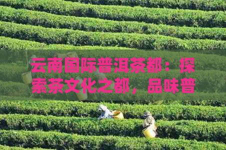 云南国际普洱茶都：探索茶文化之都，品味普洱茶的魅力与历