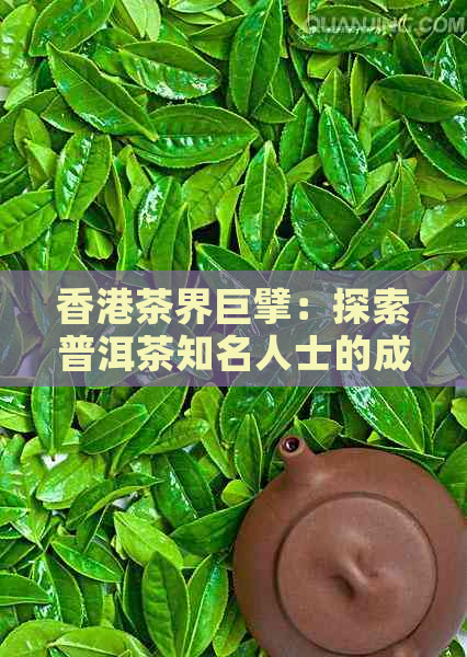 茶界巨擘：探索普洱茶知名人士的成功之路