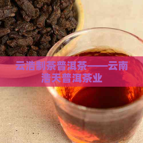 云浩制茶普洱茶——云南浩天普洱茶业