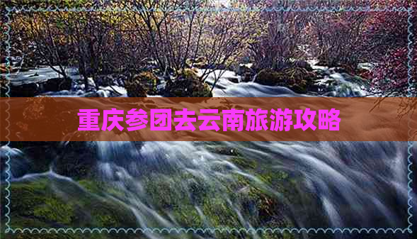 重庆参团去云南旅游攻略