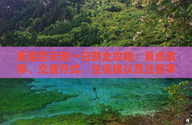 姜堰至云南一日游全攻略：景点推荐、交通方式、住宿建议及注意事项