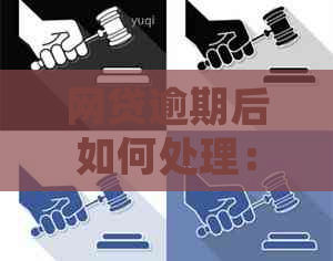 网贷逾期后如何处理：是否需要办理停息挂账手续？了解完整指南