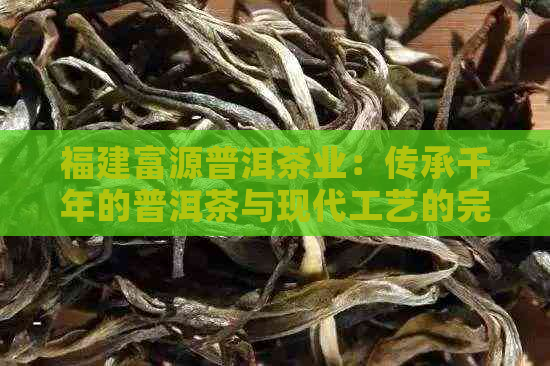 福建富源普洱茶业：传承千年的普洱茶与现代工艺的完美结合