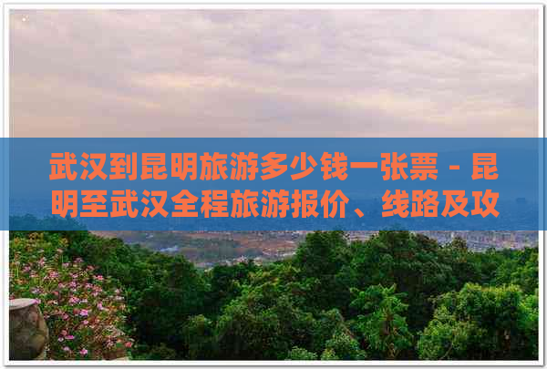 武汉到昆明旅游多少钱一张票 - 昆明至武汉全程旅游报价、线路及攻略