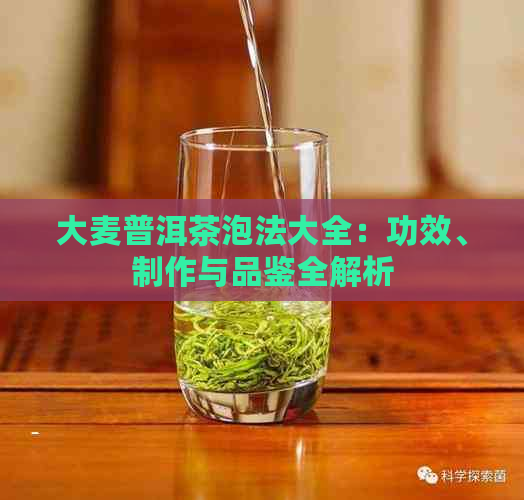 大麦普洱茶泡法大全：功效、制作与品鉴全解析