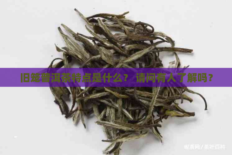 旧笼普洱茶特点是什么？ 请问有人了解吗？