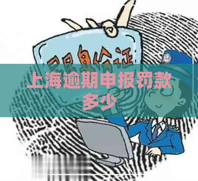 上海逾期申报罚款多少