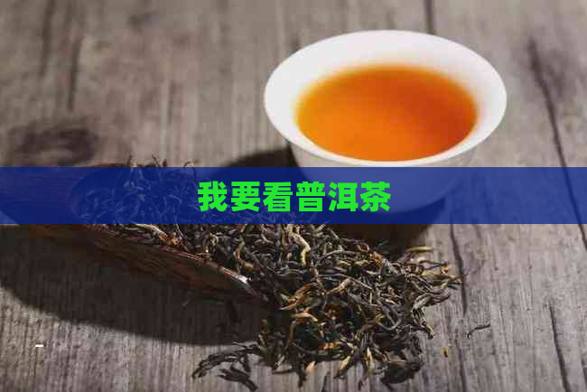 我要看普洱茶