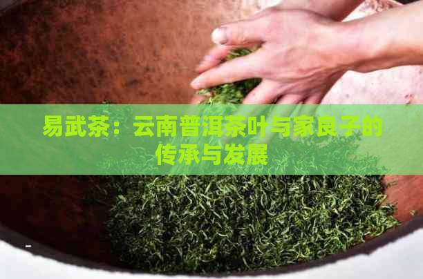 易武茶：云南普洱茶叶与家良子的传承与发展