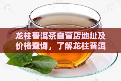 龙柱普洱茶自营店地址及价格查询，了解龙柱普洱茶的年代与品质