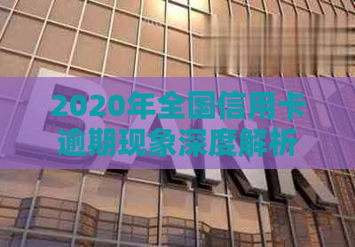 2020年全国信用卡逾期现象深度解析：数据揭示信用危机的真相