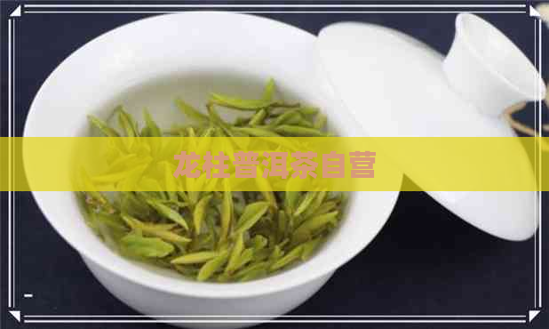 龙柱普洱茶自营