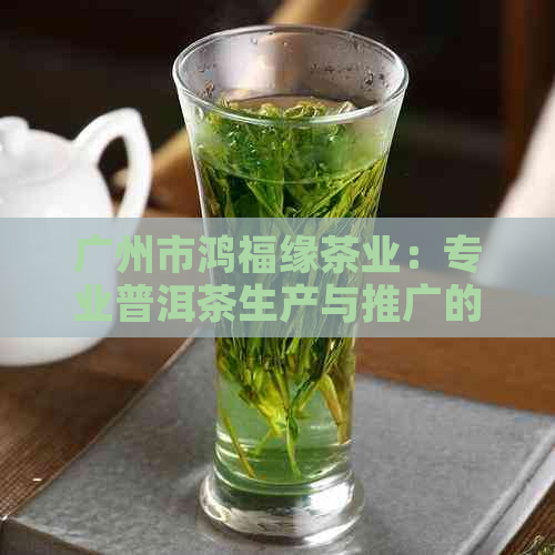 广州市鸿福缘茶业：专业普洱茶生产与推广的领航者