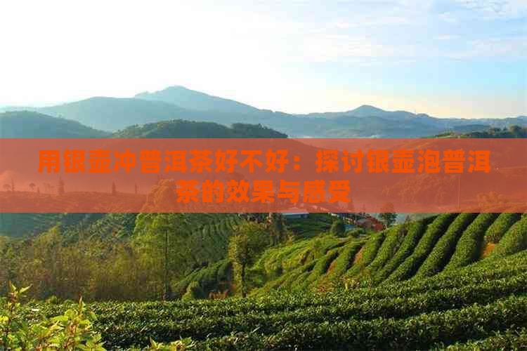 用银壶冲普洱茶好不好：探讨银壶泡普洱茶的效果与感受